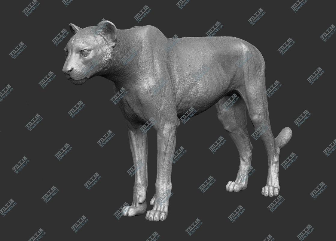 images/goods_img/2021040162/3D Cheetah/5.jpg